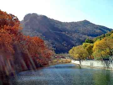 新澳天天开奖资料大全旅游团，经典yy小说